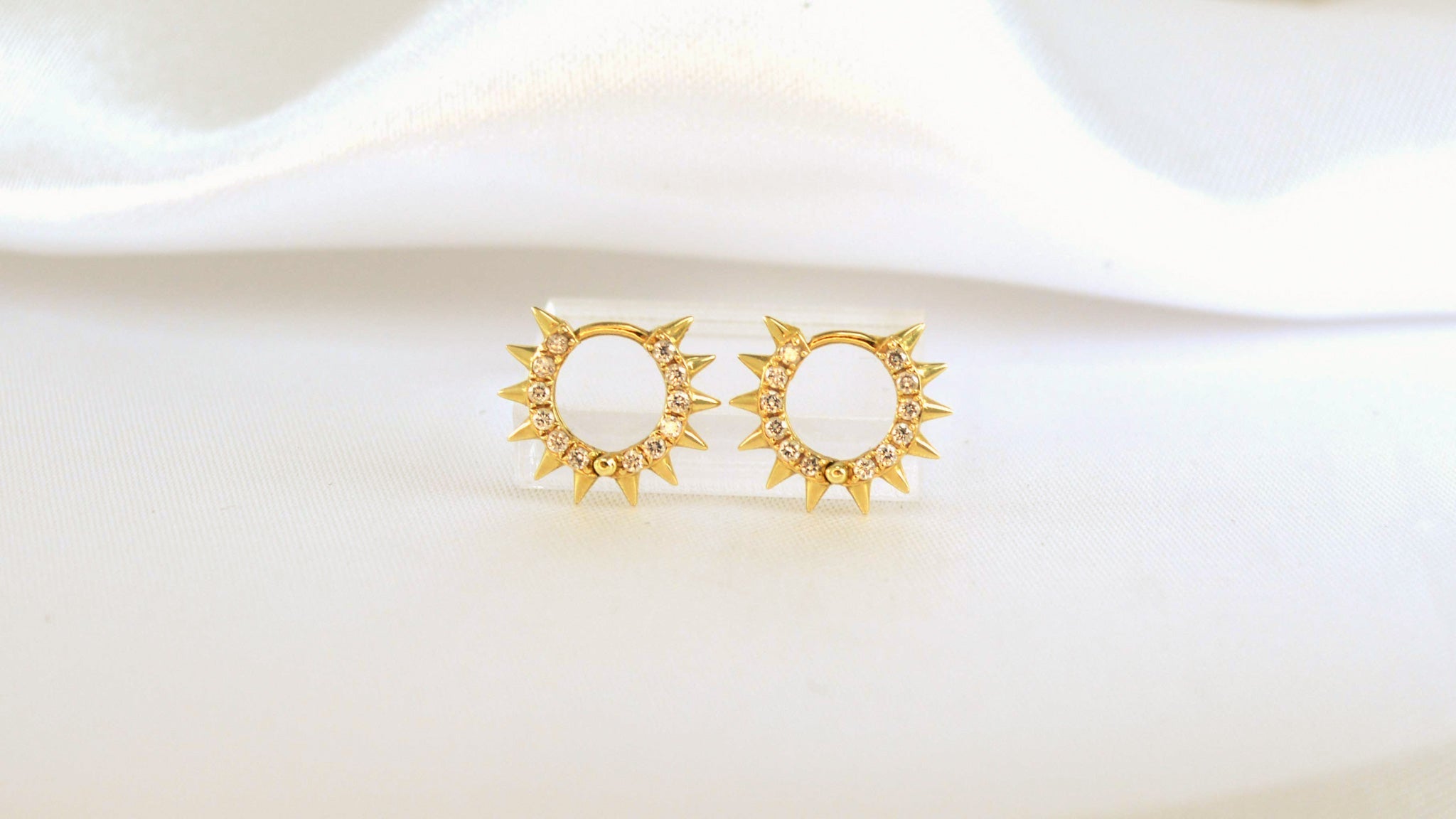 Huggie Hoop Earrings | LISA ROBIN