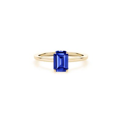 The Casey Hidden Halo Round Blue Sapphire Engagement Ring | Lisa Robin
