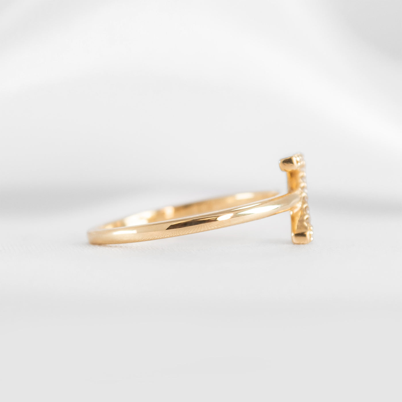 Initial ring in Z | Lisa Robin