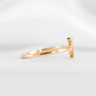 Initial ring in Z | Lisa Robin