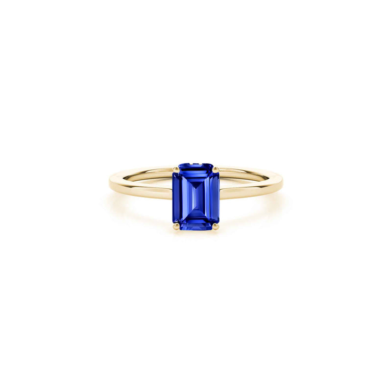 The Casey Hidden Halo Round Blue Sapphire Engagement Ring | Lisa Robin