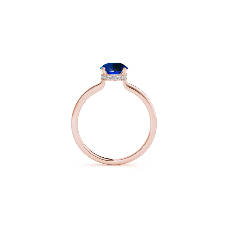 The Casey Hidden Halo Round Blue Sapphire Engagement Ring | Lisa Robin