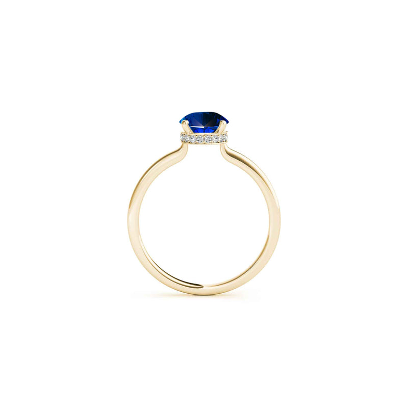 The Casey Hidden Halo Emerald Cut Blue Sapphire Engagement Ring | Lisa Robin