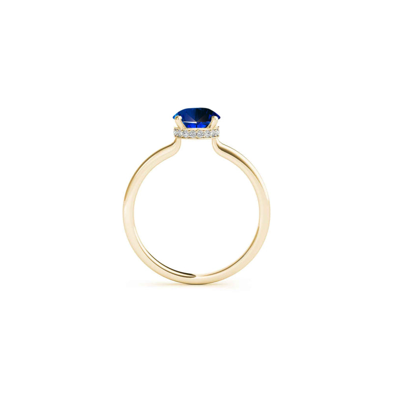 The Casey Hidden Halo Blue Sapphire Oval Engagement Ring | Lisa Robin