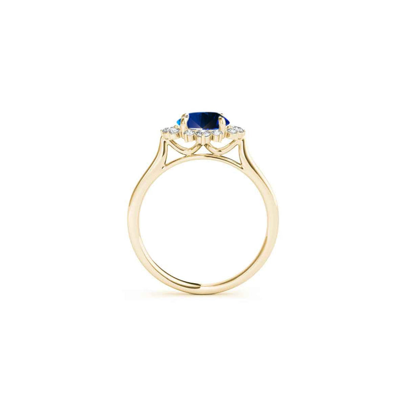 The Jaylin Sapphire and Diamond Halo Engagement Ring - Lisa Robin